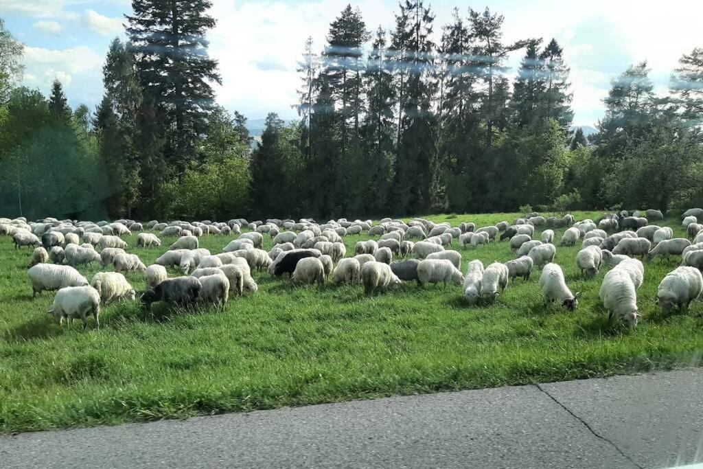 Krasna Chata Maniowy Esterno foto