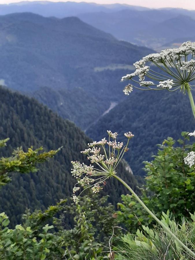 Krasna Chata Maniowy Esterno foto